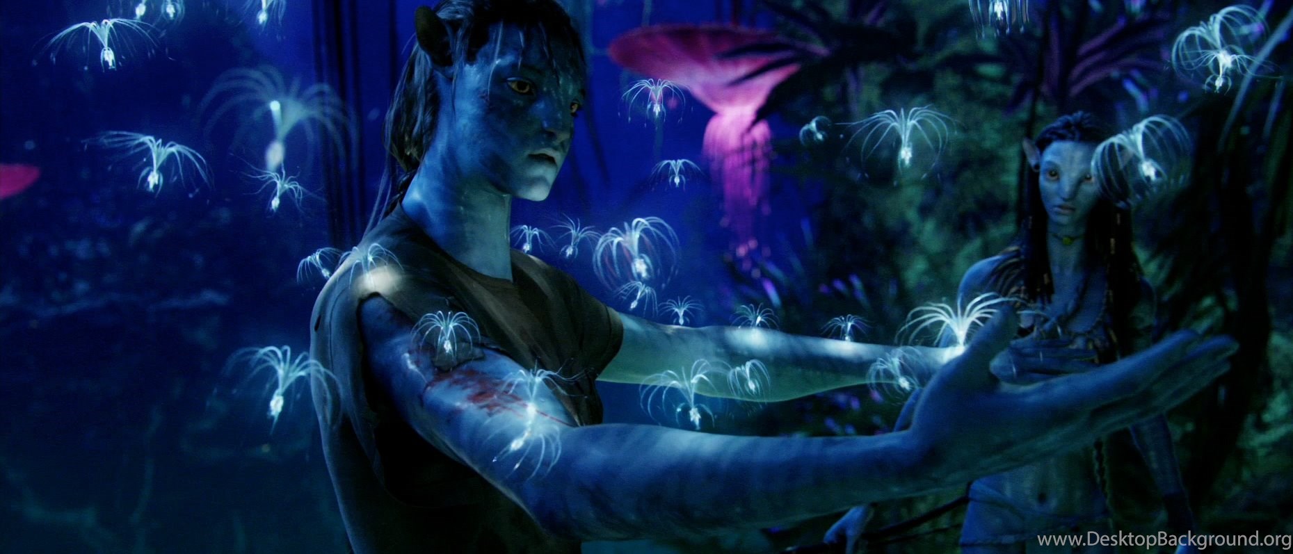 3D Avatar Movie HD Wallpaper Desktop Avatar Cool Image High. Desktop Background