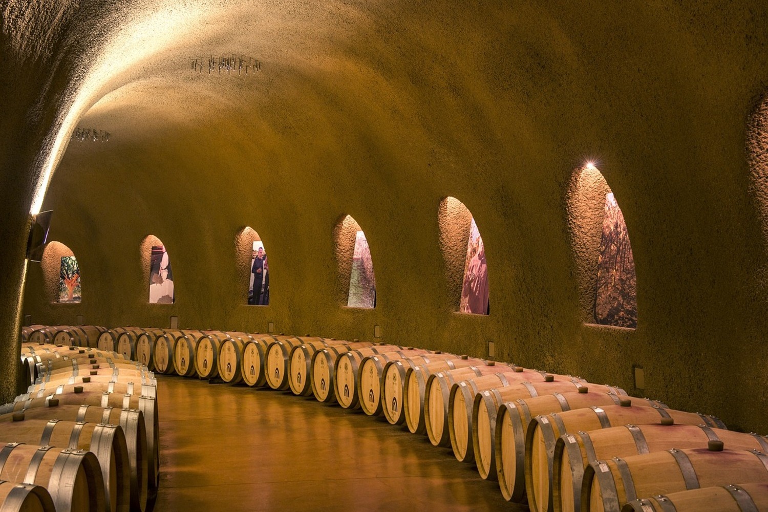 Photo Wallpaper In the wine cellar. Shop now!