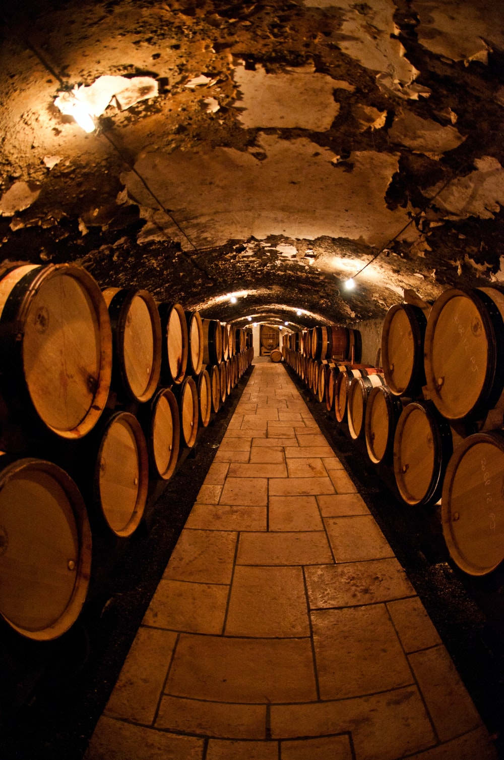 Wine Cellar Wallpapers - Wallpaper Cave