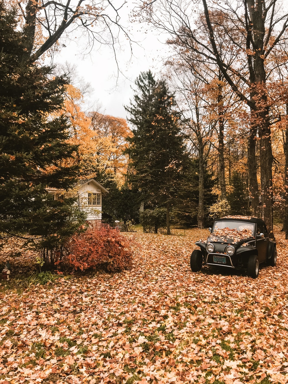 vintage fall images