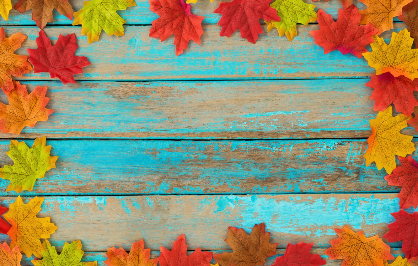 Wallpaper autumn, leaves, background, tree, colorful, vintage, wood, background, autumn, leaves, maple image for desktop, section текстуры
