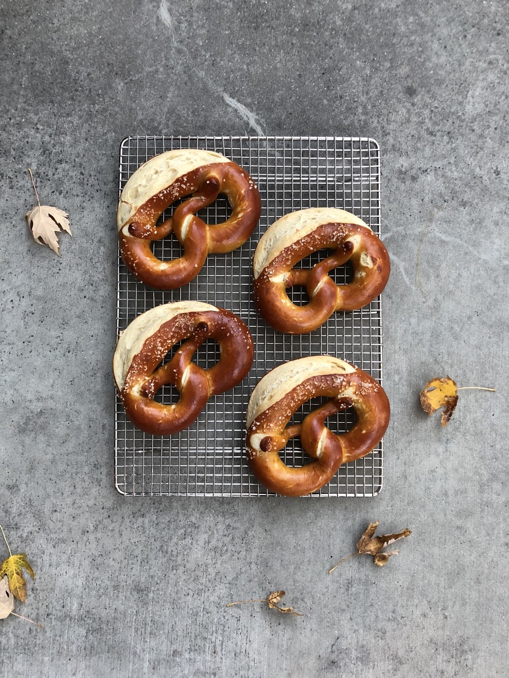 Pretzel Picture. Download Free Image