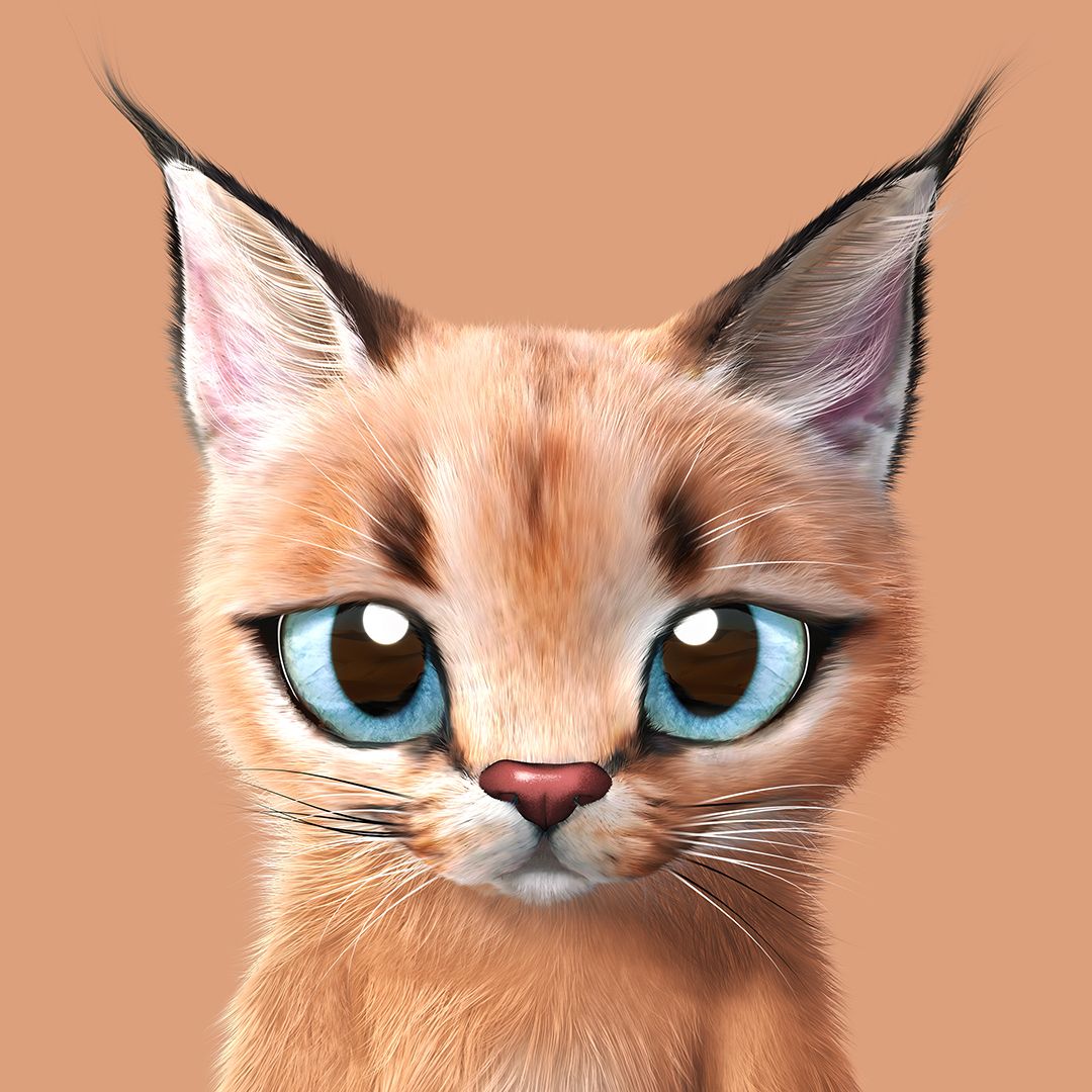 October 4th is World Animal Day Wildlife series deliver full of love and care!Introducing Caracal, Sand cat, Fennec fox,. Cat wallpaper, Cat art, Animal wallpaper