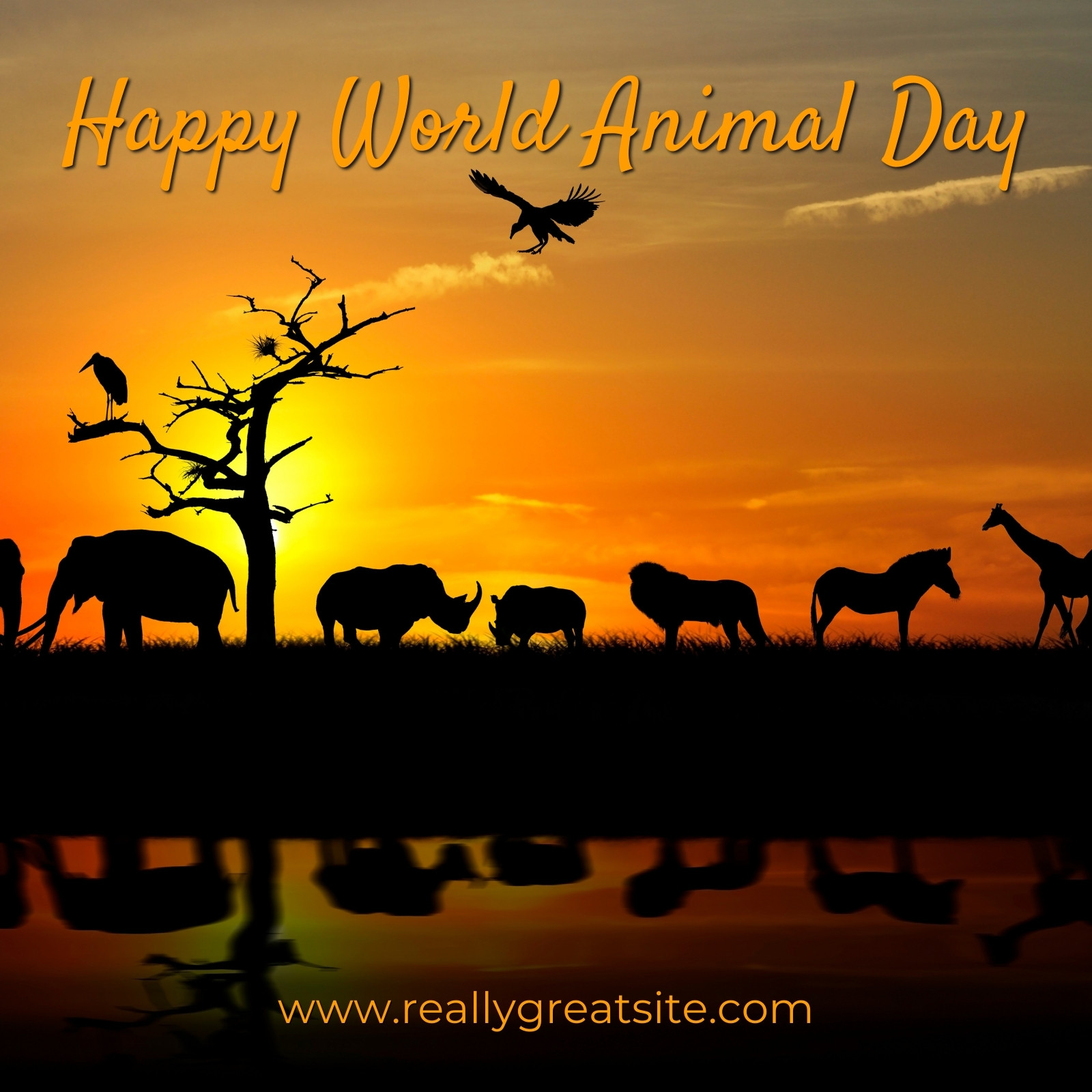 Free, beautiful, Instagram post