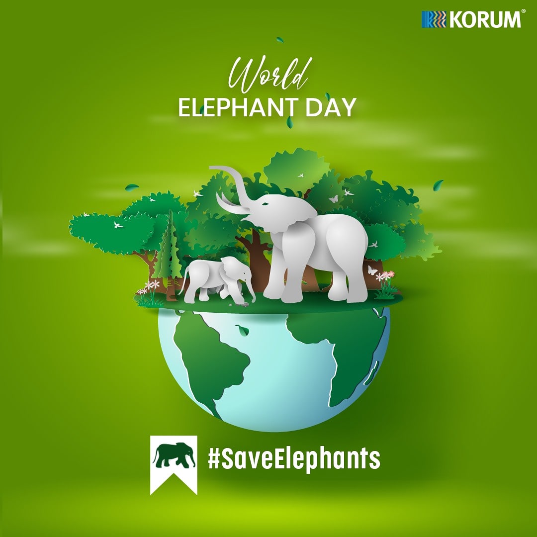 Korum Mall Mere Sathi! Let's work together to save this majestic animal. #KorumCares #MySafePlace #KorumMall #WorldElephantDay #ElephantDay #Elephants #ProtectElephants #MajesticAnimal #SaveThePlanet #SaveAnimals #ThaneMall #Mall