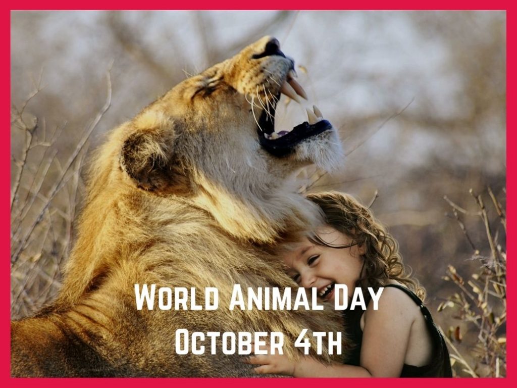 World Animal Day 2020 October 4. World Animal Day Quotes