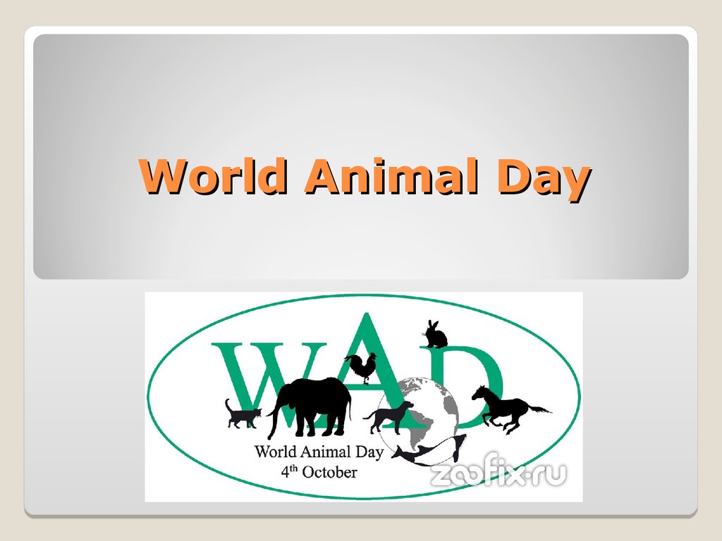 World animal day