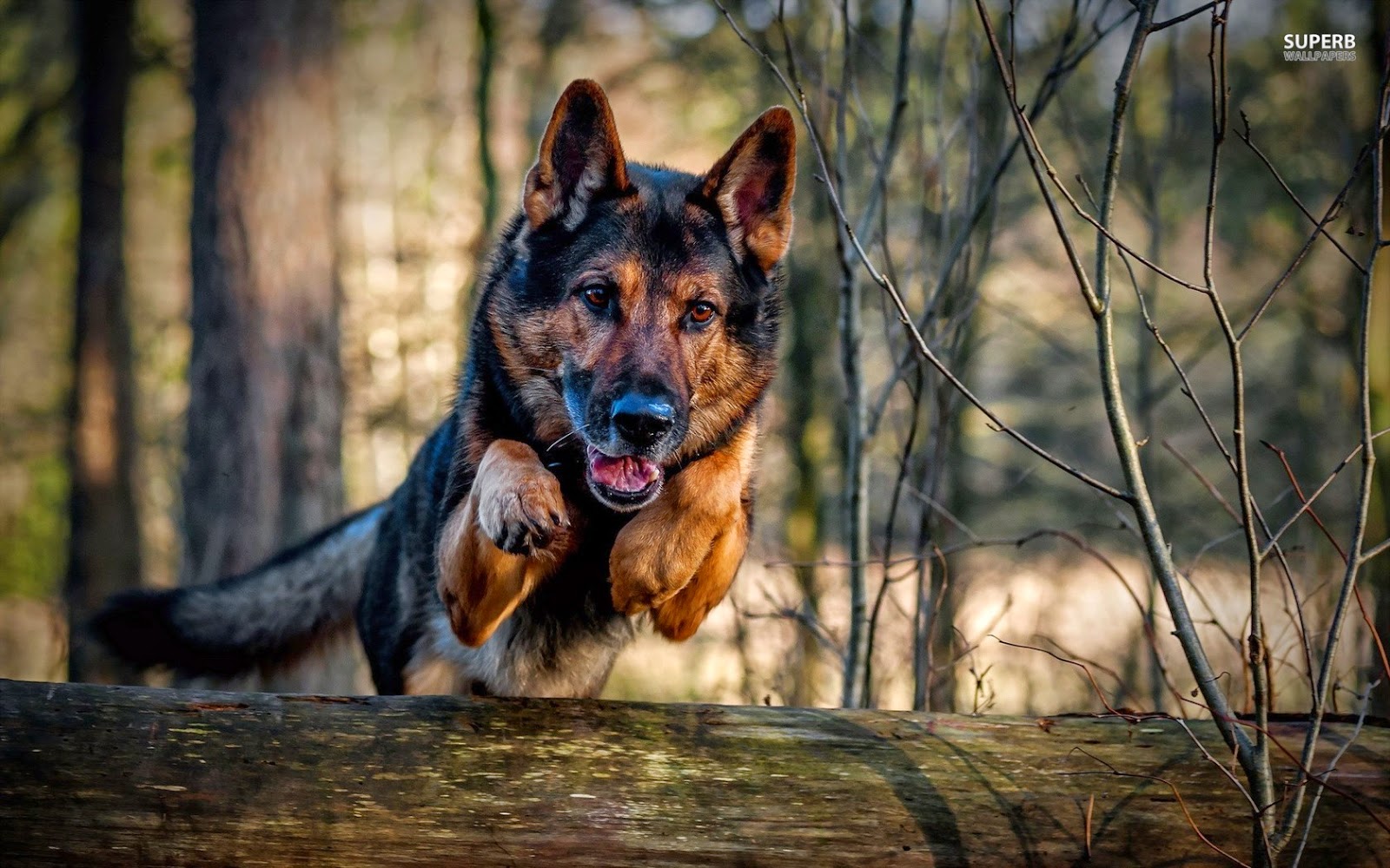 Banking Place: 2014 09 28