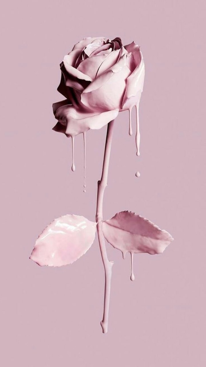 rose, wallpaper and pink
