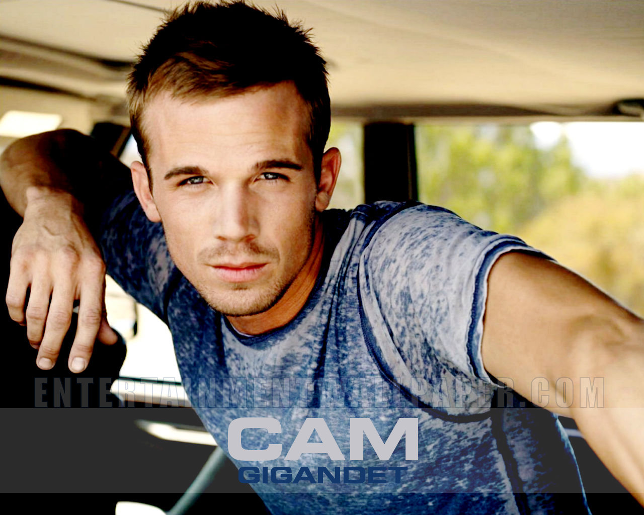 Picture of Cam Gigandet Of Celebrities