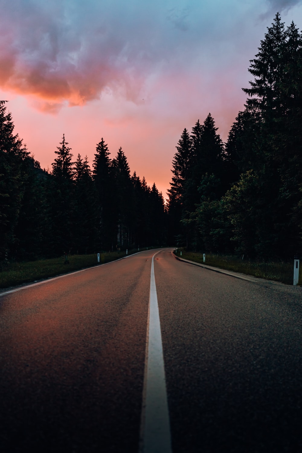 Aesthetic Road With Trees Wallpapers - Wallpaper Cave