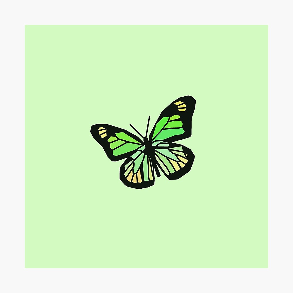 Green and yellow butterfly with green background Poster