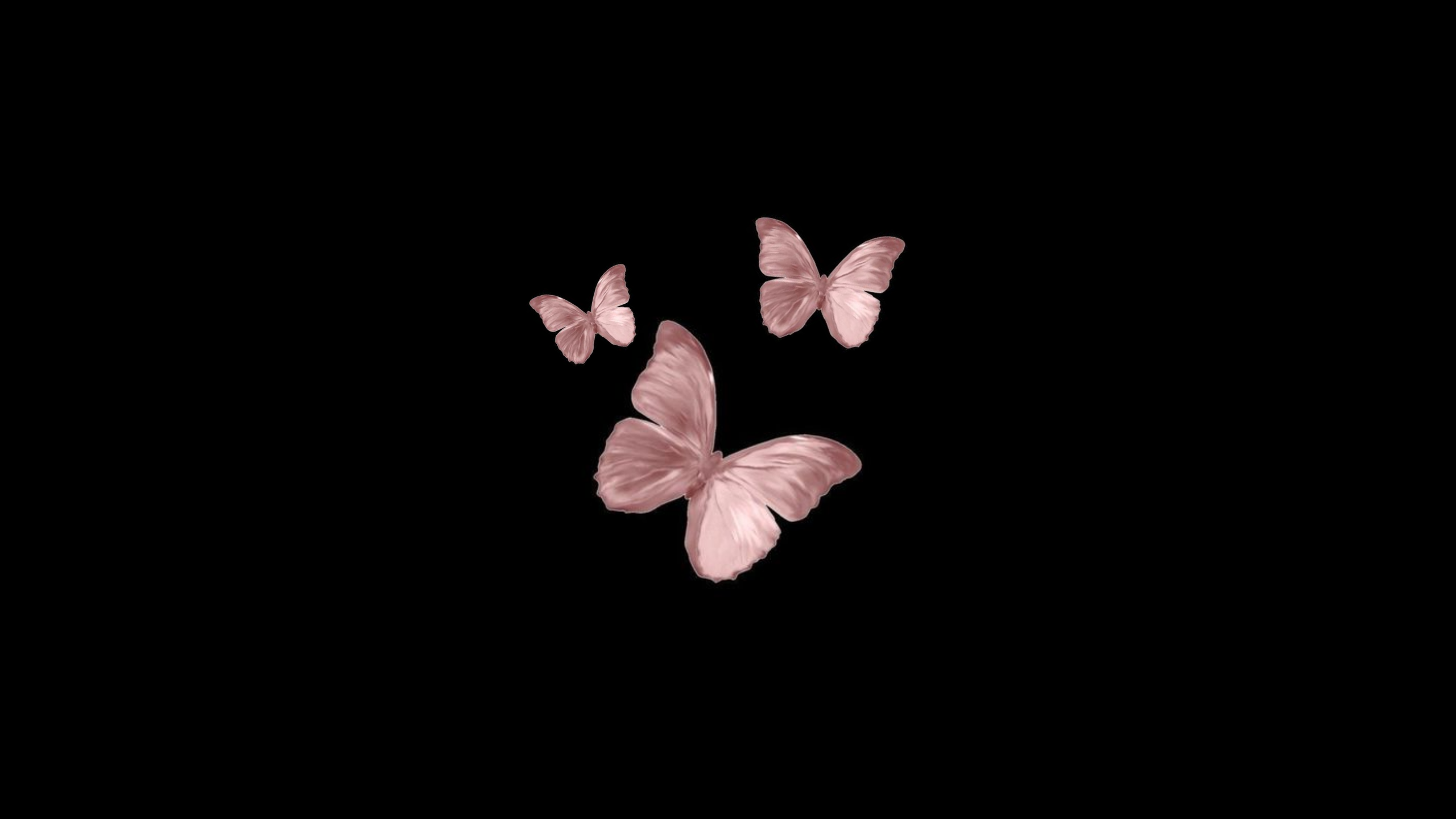 Aesthetic Butterfly Laptop Pink Wallpapers - Wallpaper Cave