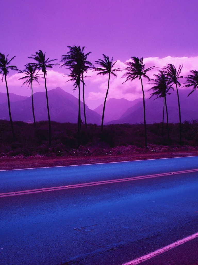 Free download Purple Palm Trees Wallpaper Purple Palm Trees Myspace Background [1920x1200] for your Desktop, Mobile & Tablet. Explore Palm Tree Background Wallpaper. Tree Wallpaper Canada, Tree Wallpaper, Palm
