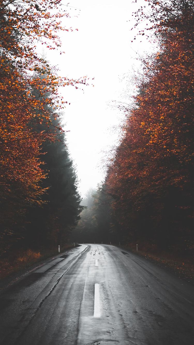 Aesthetic Road With Trees Wallpapers - Wallpaper Cave