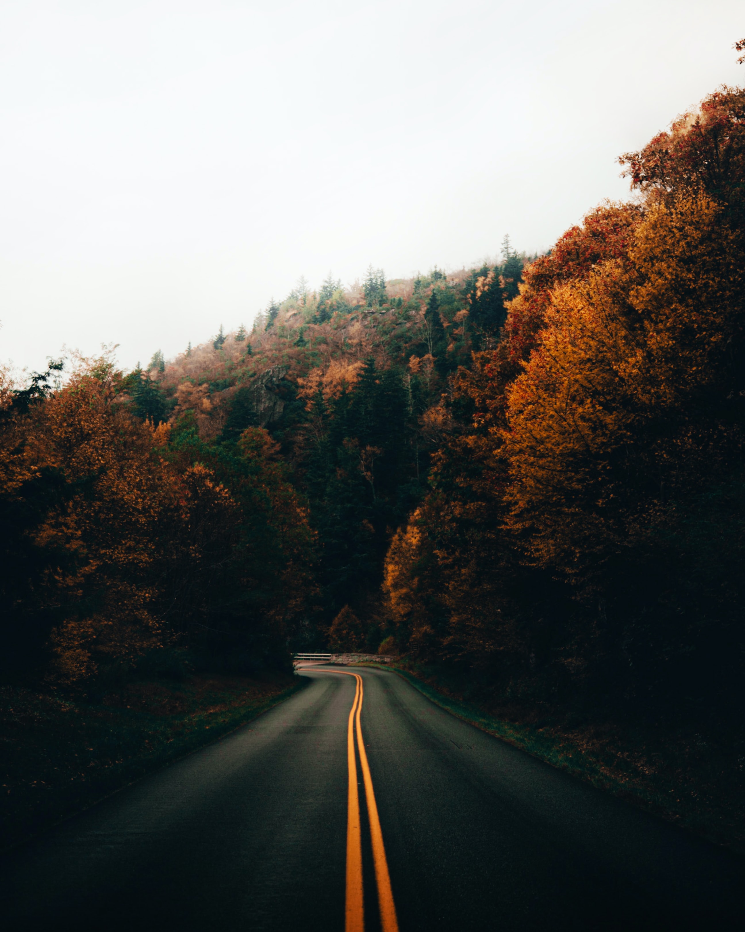 Aesthetic Road With Trees Wallpapers - Wallpaper Cave