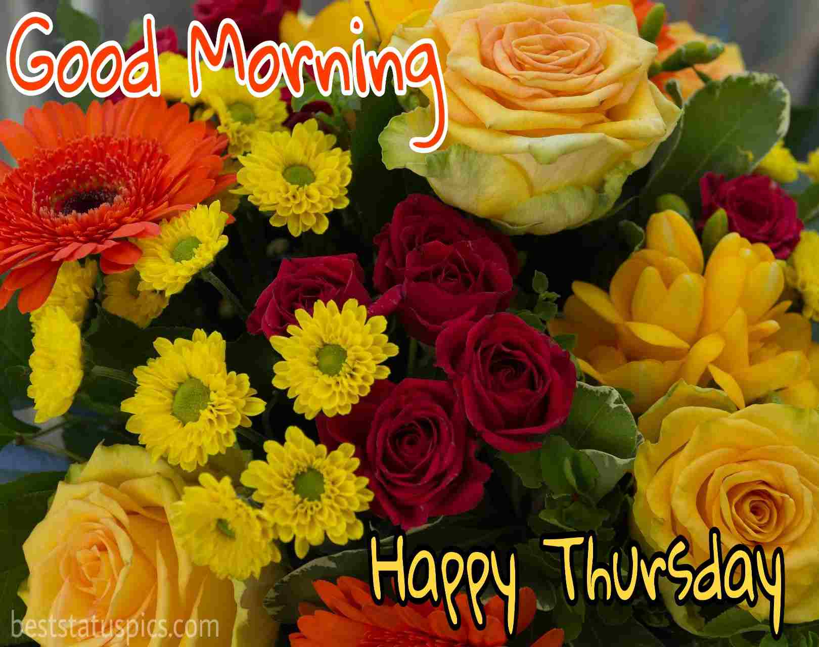 Good Morning Happy Thursday Image, Wishes, Quotes Status Pics