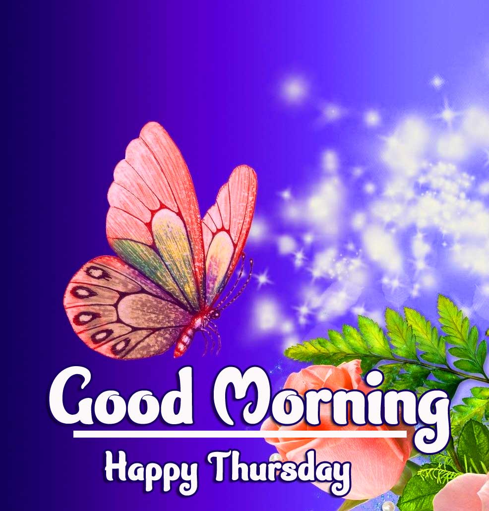 Beautiful Thursday Good Morning Image Wallpaper Download Goodnyt