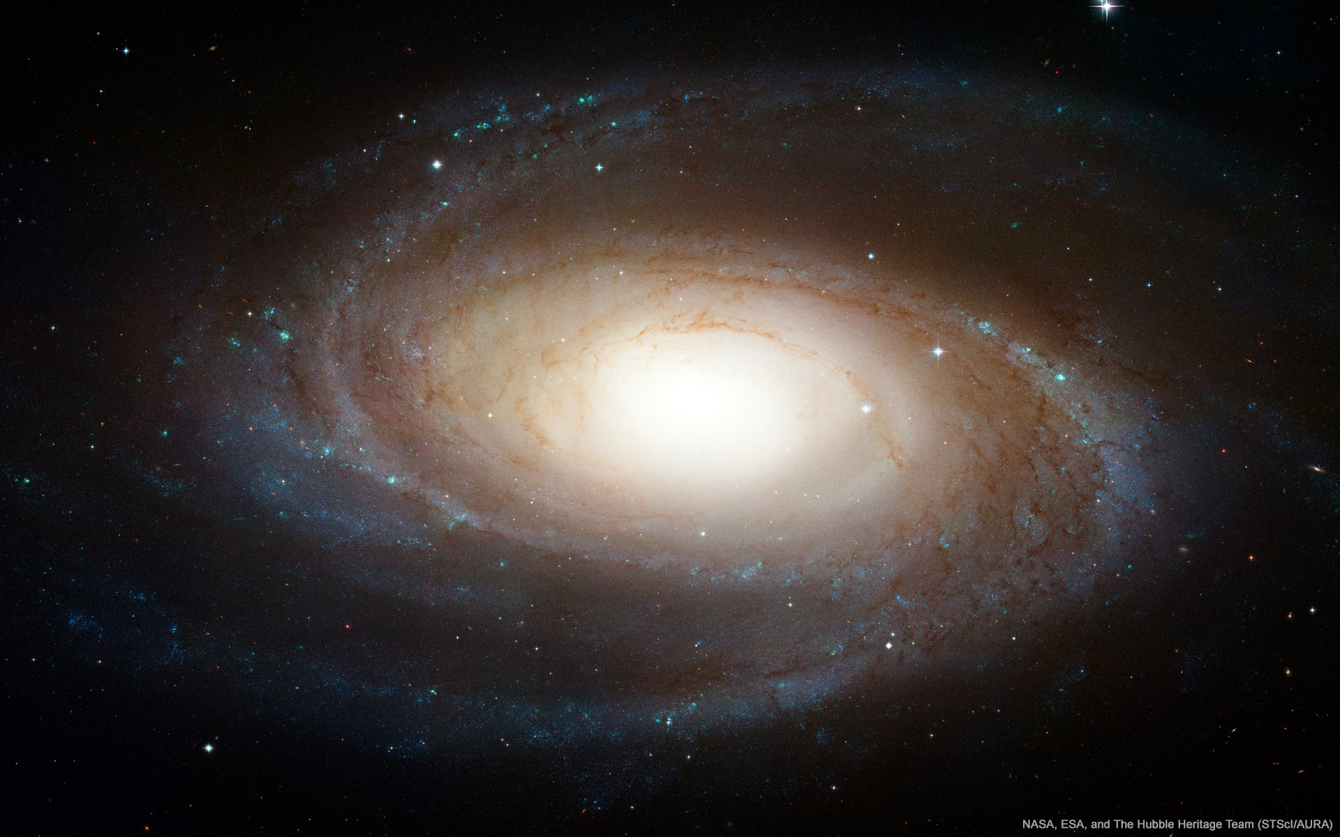 Spiral Galaxy M81 Space Wallpaper