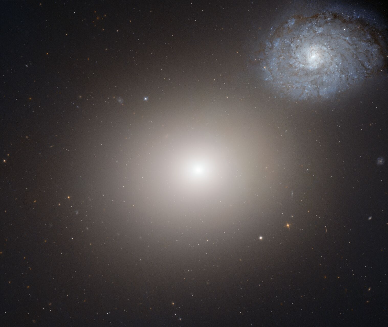 Astronomers Spun Up By Galaxy Shape Finding. Anglo Australian Telescope