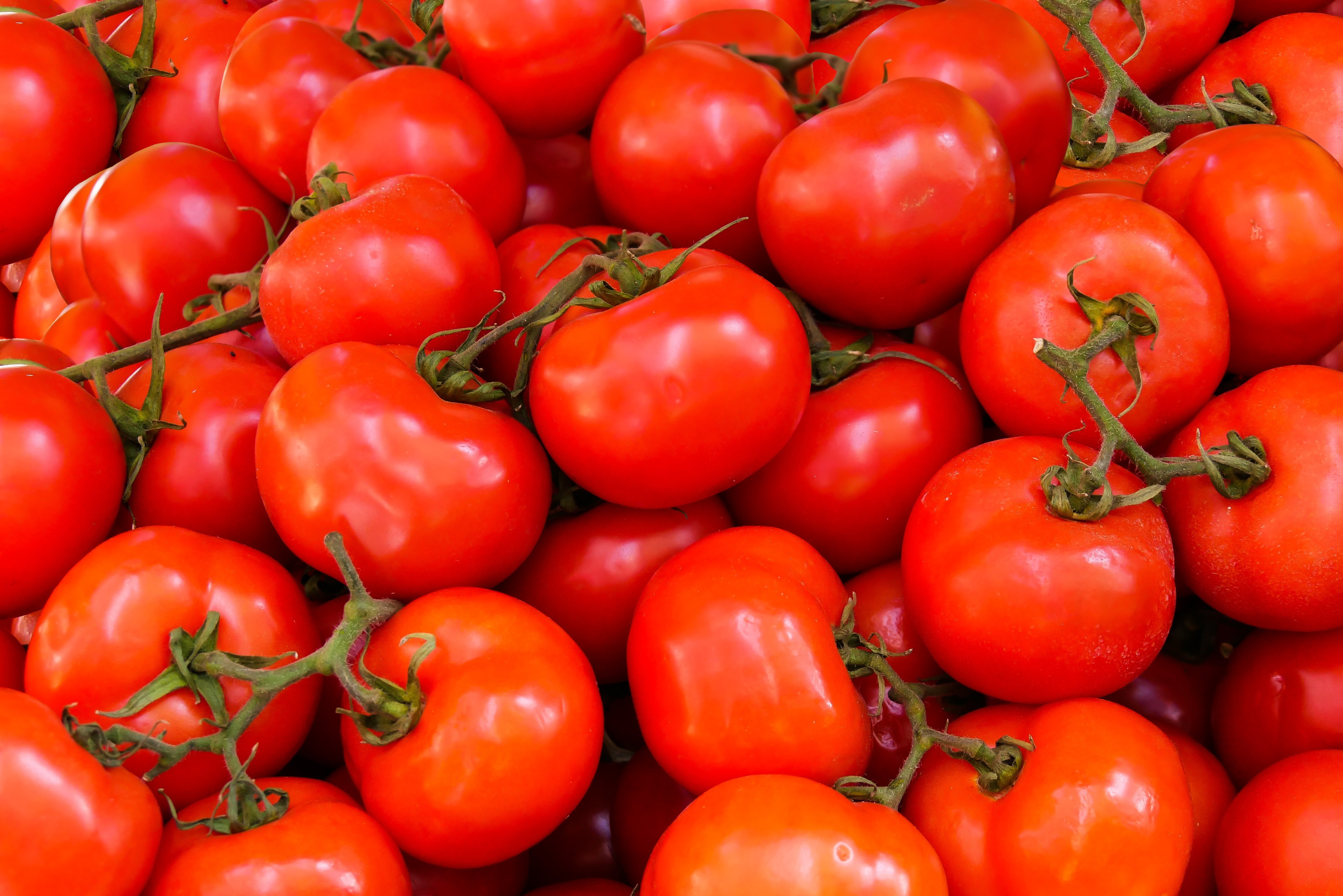 Pile of Red Tomatoes · Free