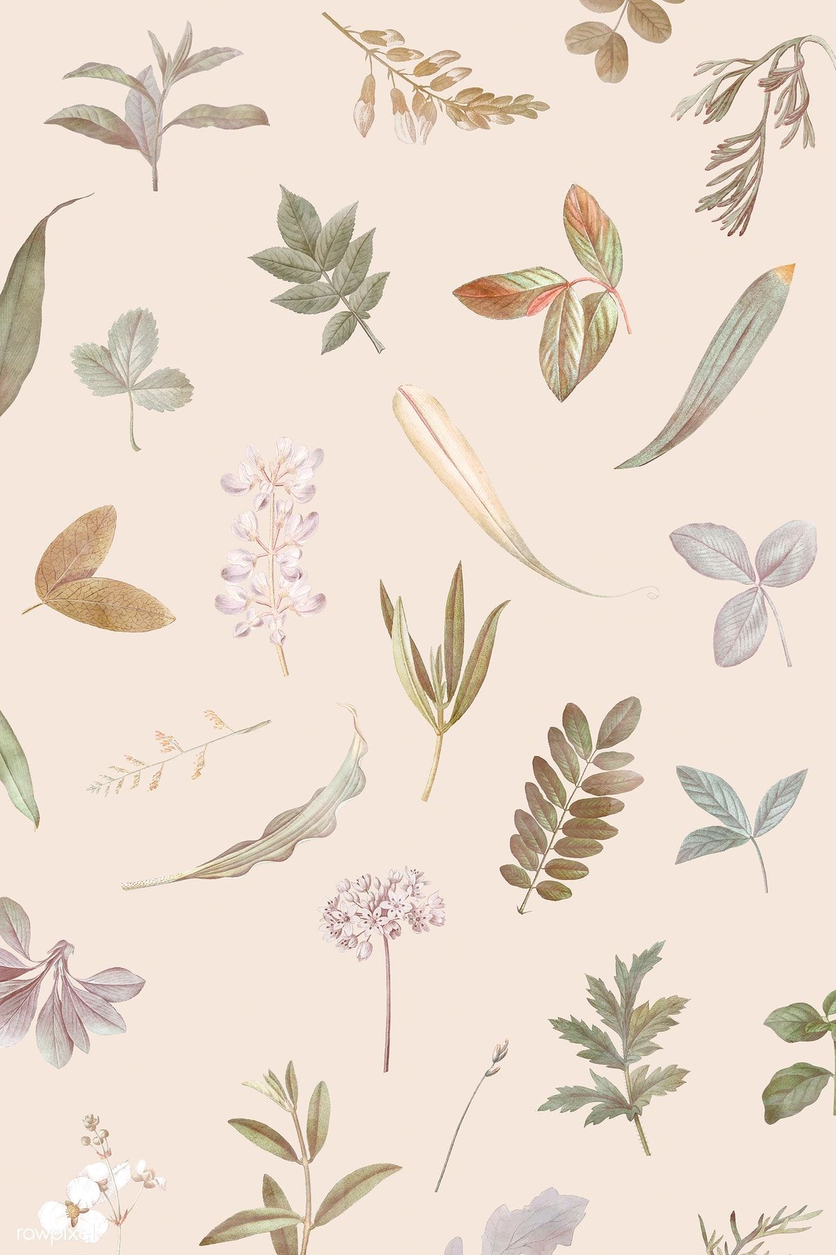 Download premium vector of Foliage pattern on beige background vector by Sasi about dried flower, autumn, Flower phone wallpaper, tropical flower, and flower dr. Beige background, Wallpaper background, Flower phone wallpaper
