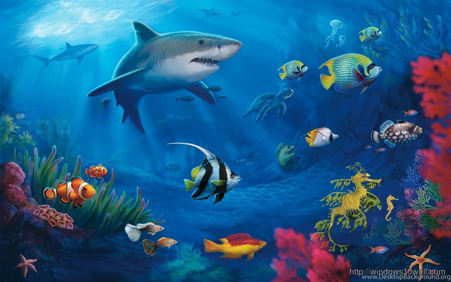 Sea Underwater World Live iPhone Wallpaper