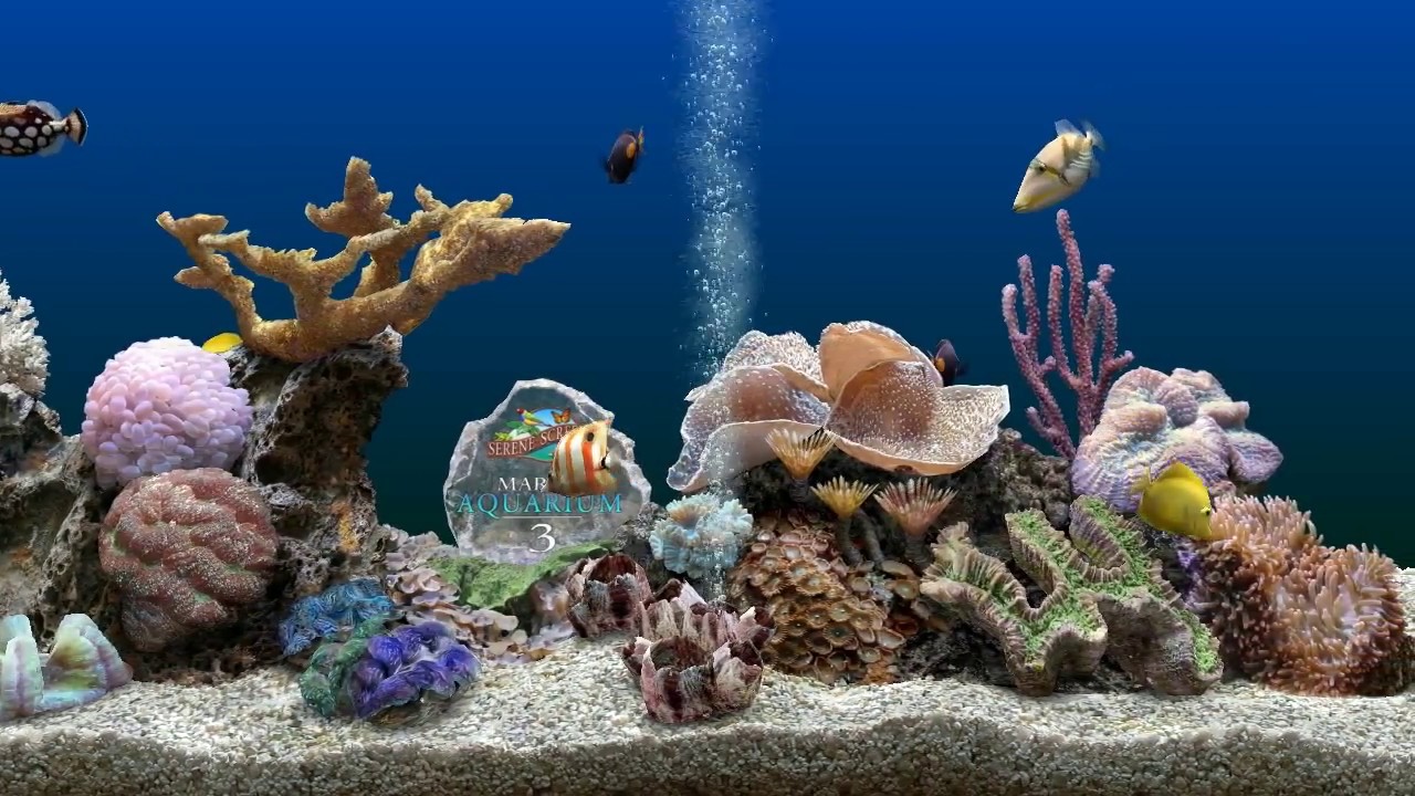 Marine Aquarium 3D Screensaver for Windows HD