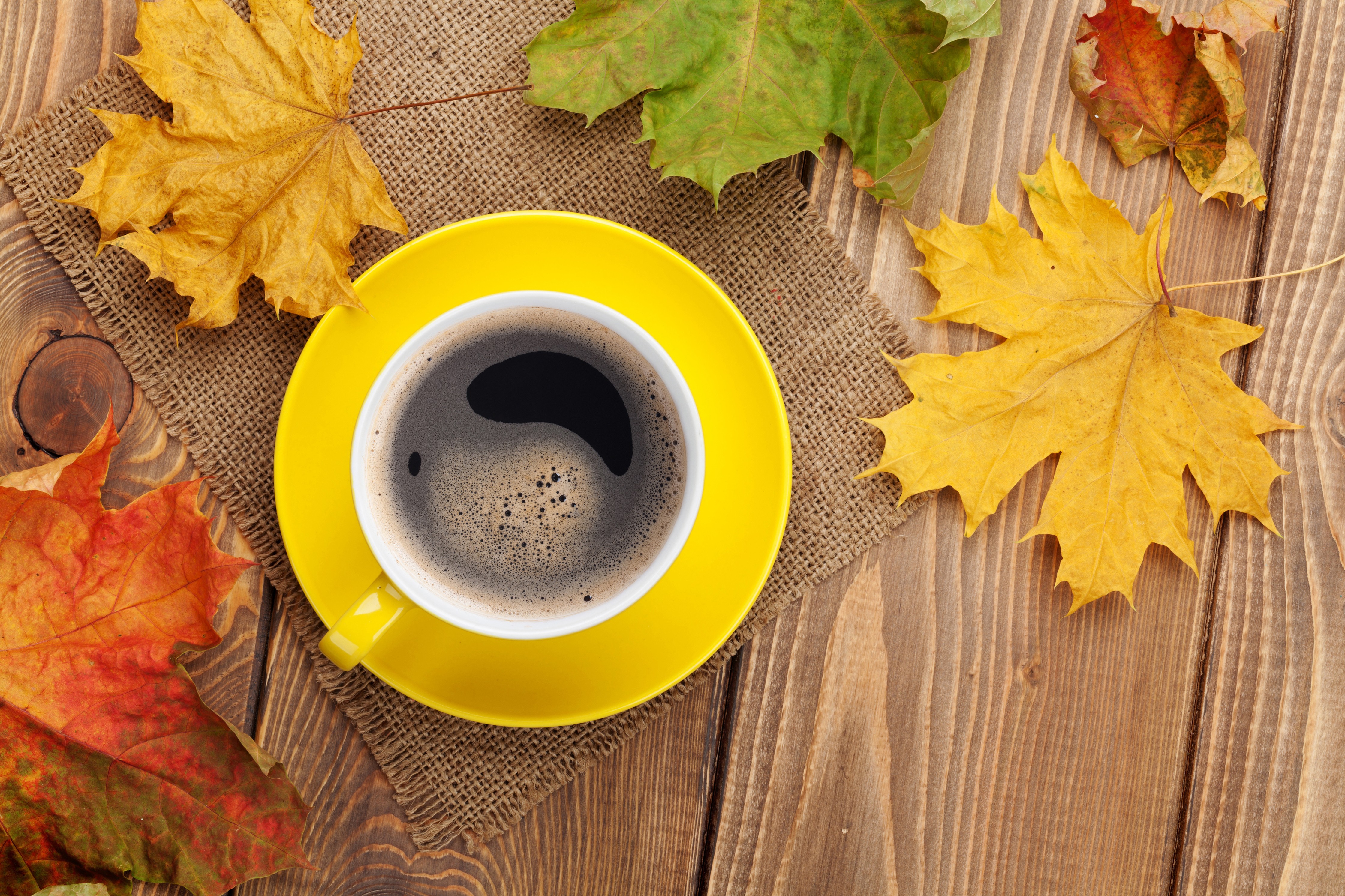 #table, #mugs, #maple leaves, #fall, #coffee, wallpaper. Mocah HD Wallpaper