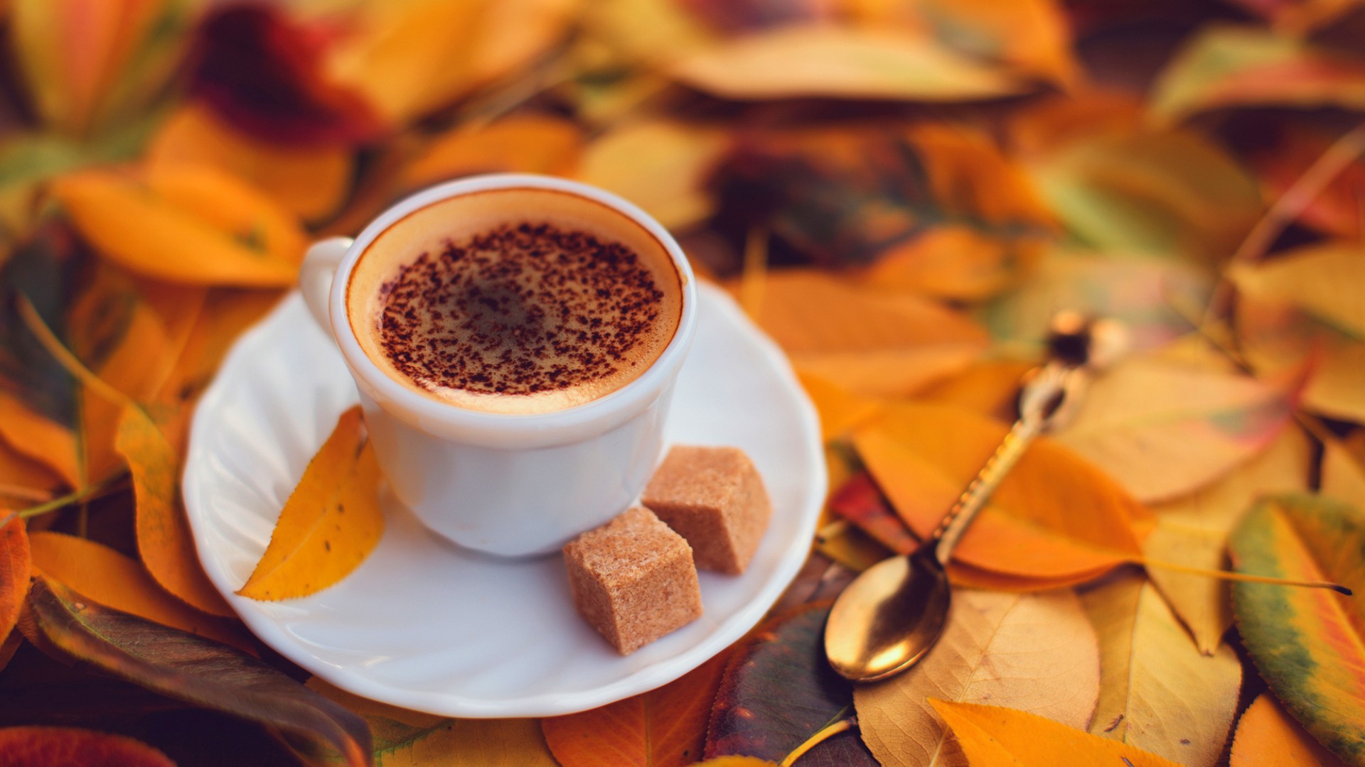 Download Wallpaper autumn coffee cup leaves sugar spoon, 1920x Coffee and autumn