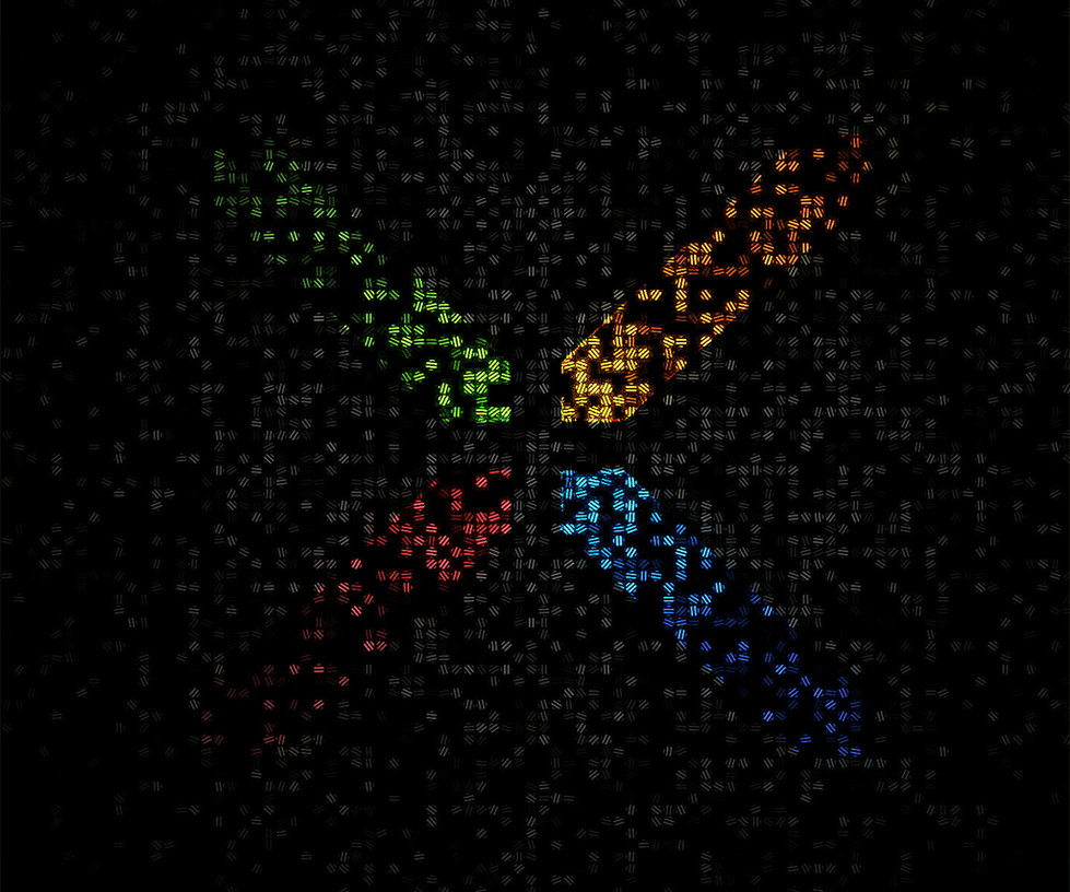 Wallpaper For Nexus