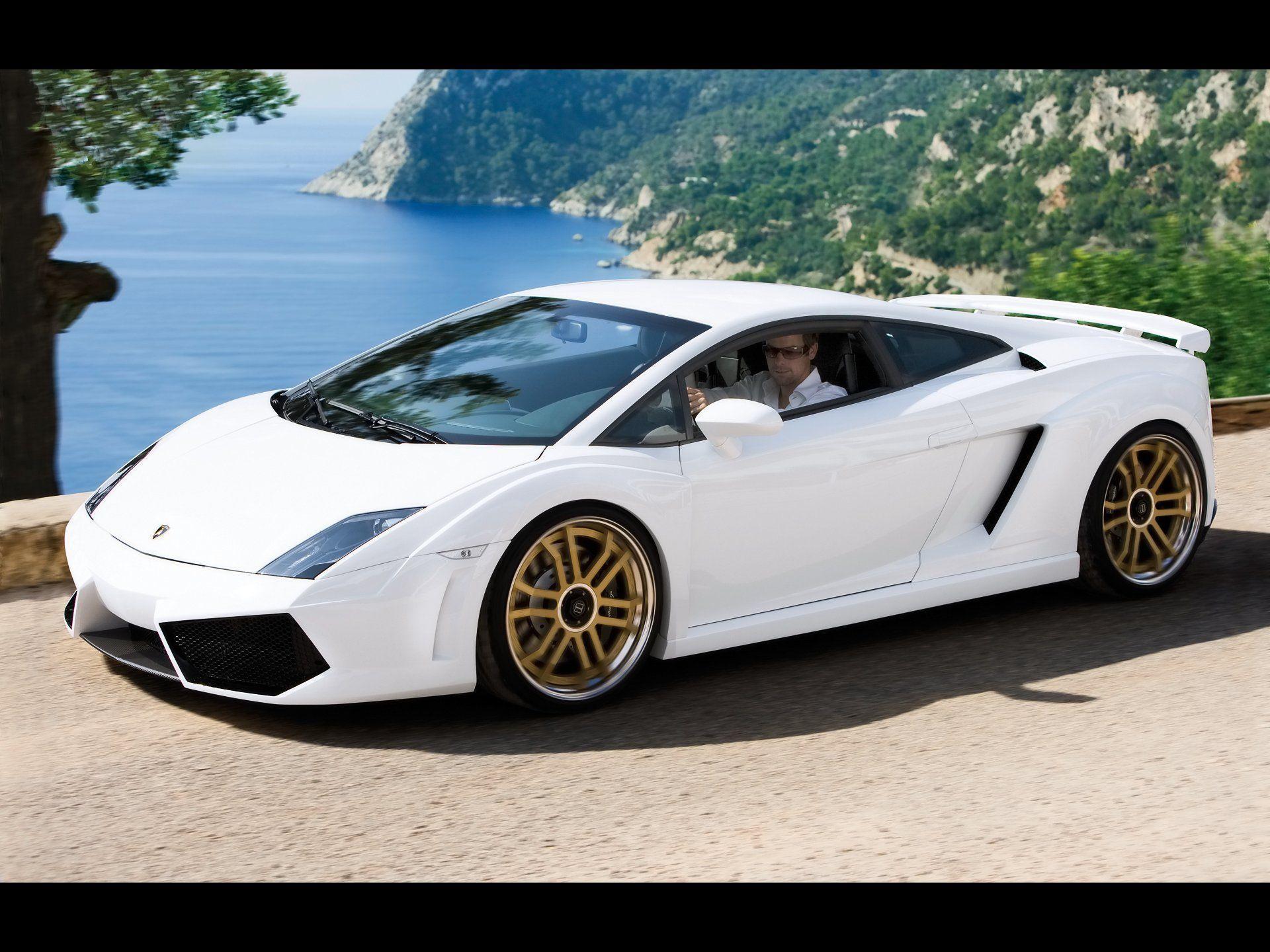 Gallardo 16 Background. Wallruru