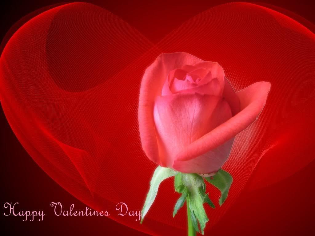 Happy Valentine Day Wallpaper free download Wallpaper Idol