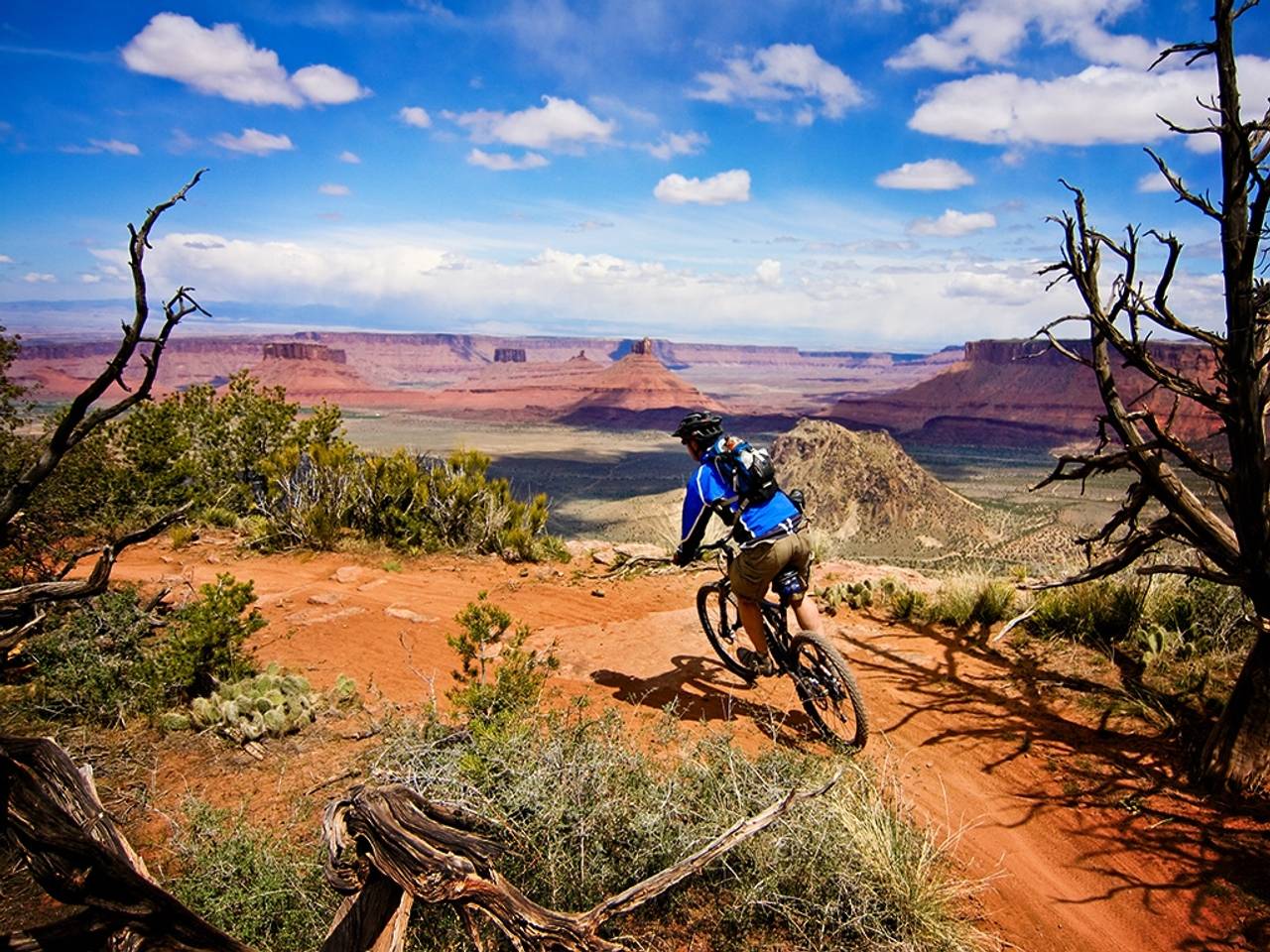 Download Download Cycling Mountain Bike Download Sports Wallpapers