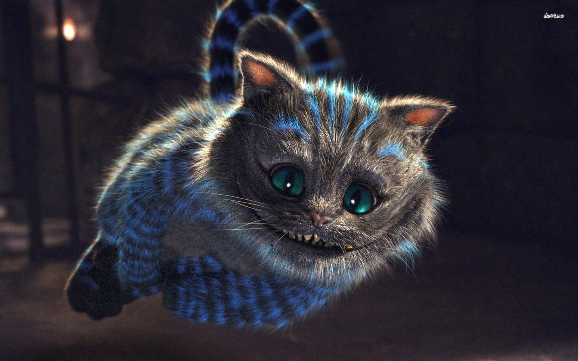 Cheshire Cat Wallpapers Wallpaper Cave
