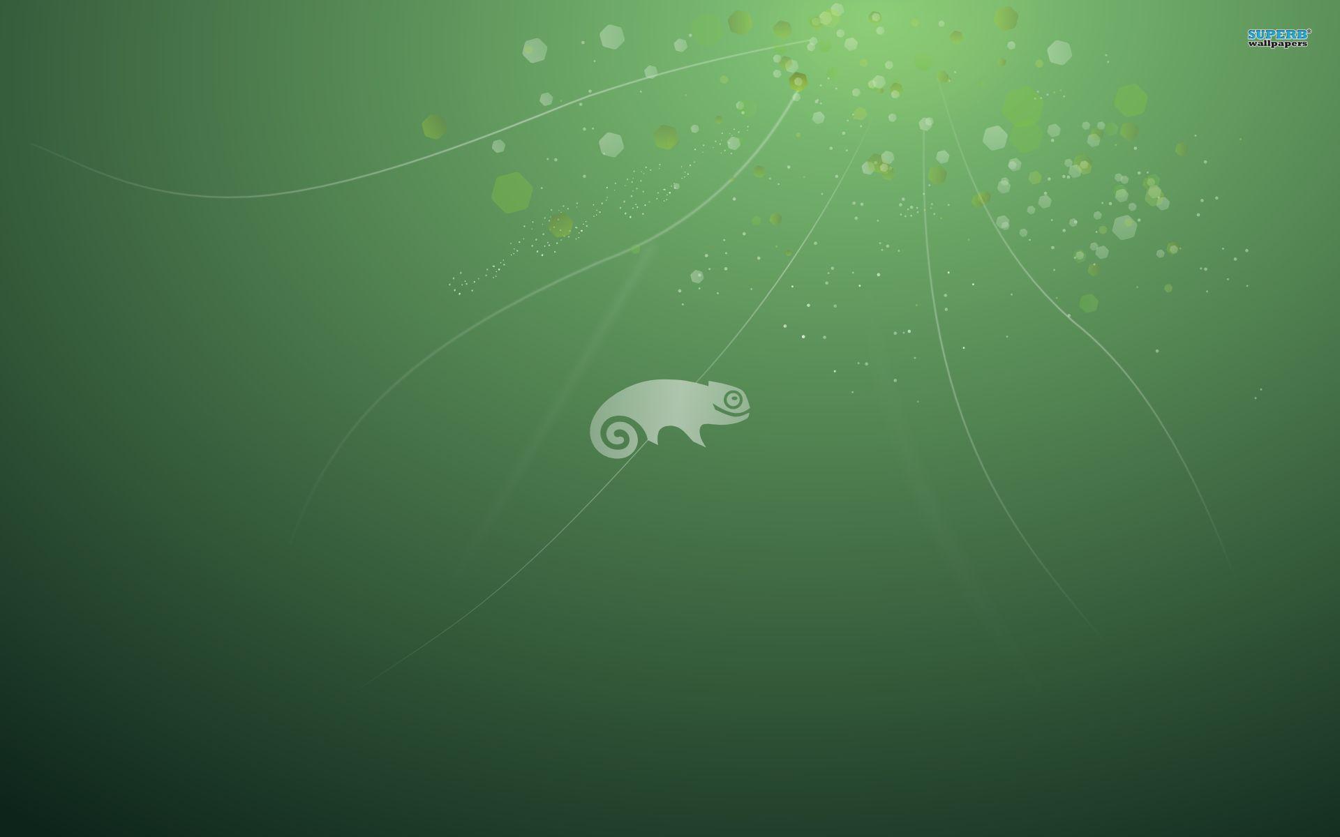 Opensuse 10934