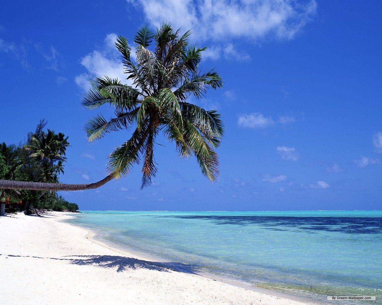 Free Wallpaper Travel wallpaper 3 wallpaper