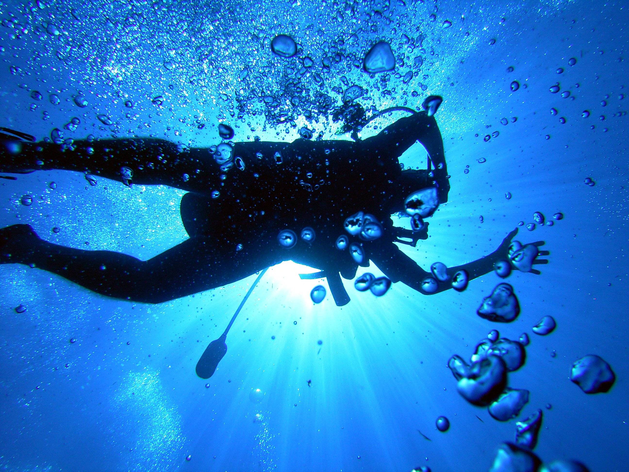 Scuba diving diver ocean sea underwater wallpaperx1944