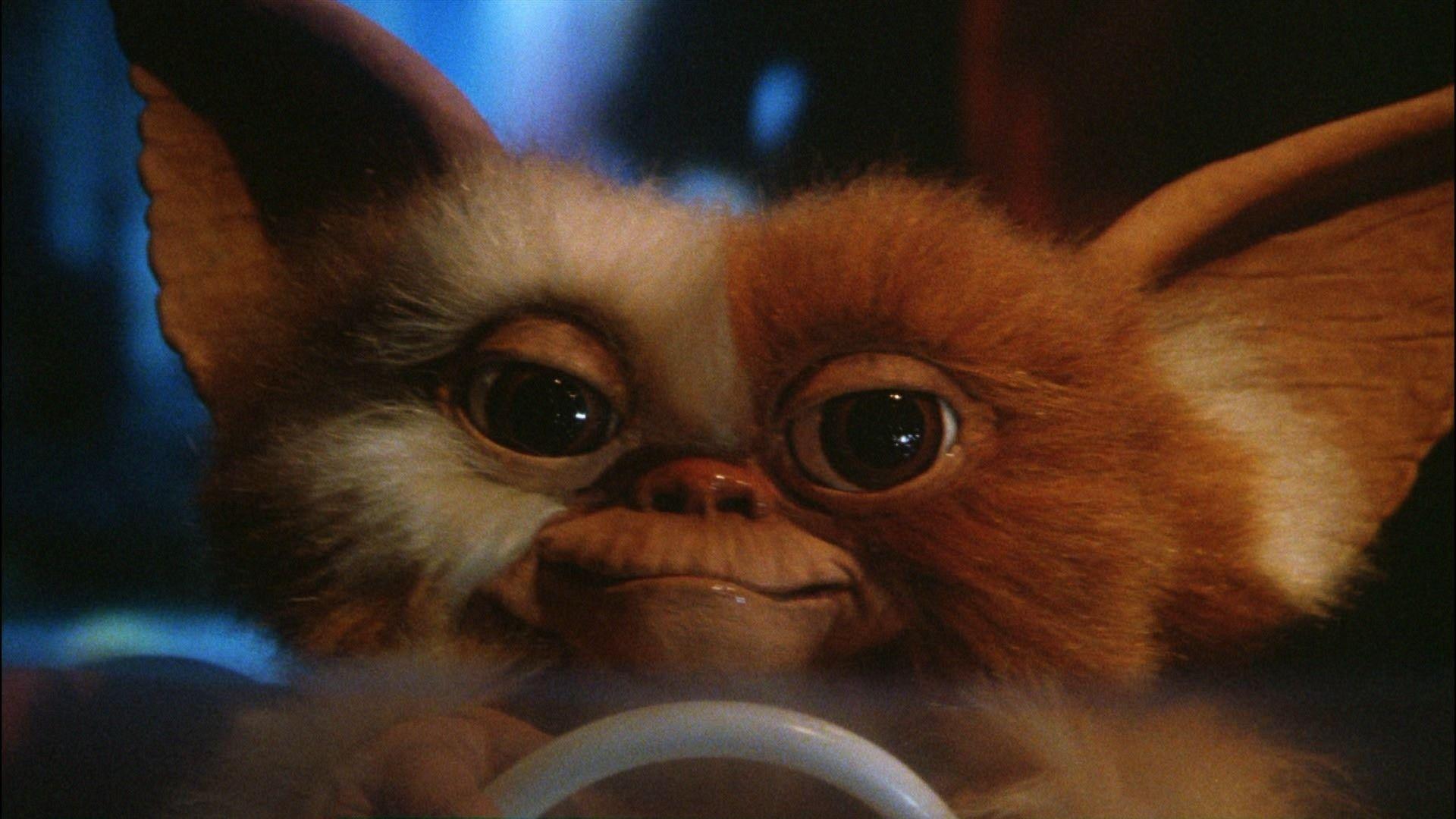 Gremlins Wallpapers - Wallpaper Cave