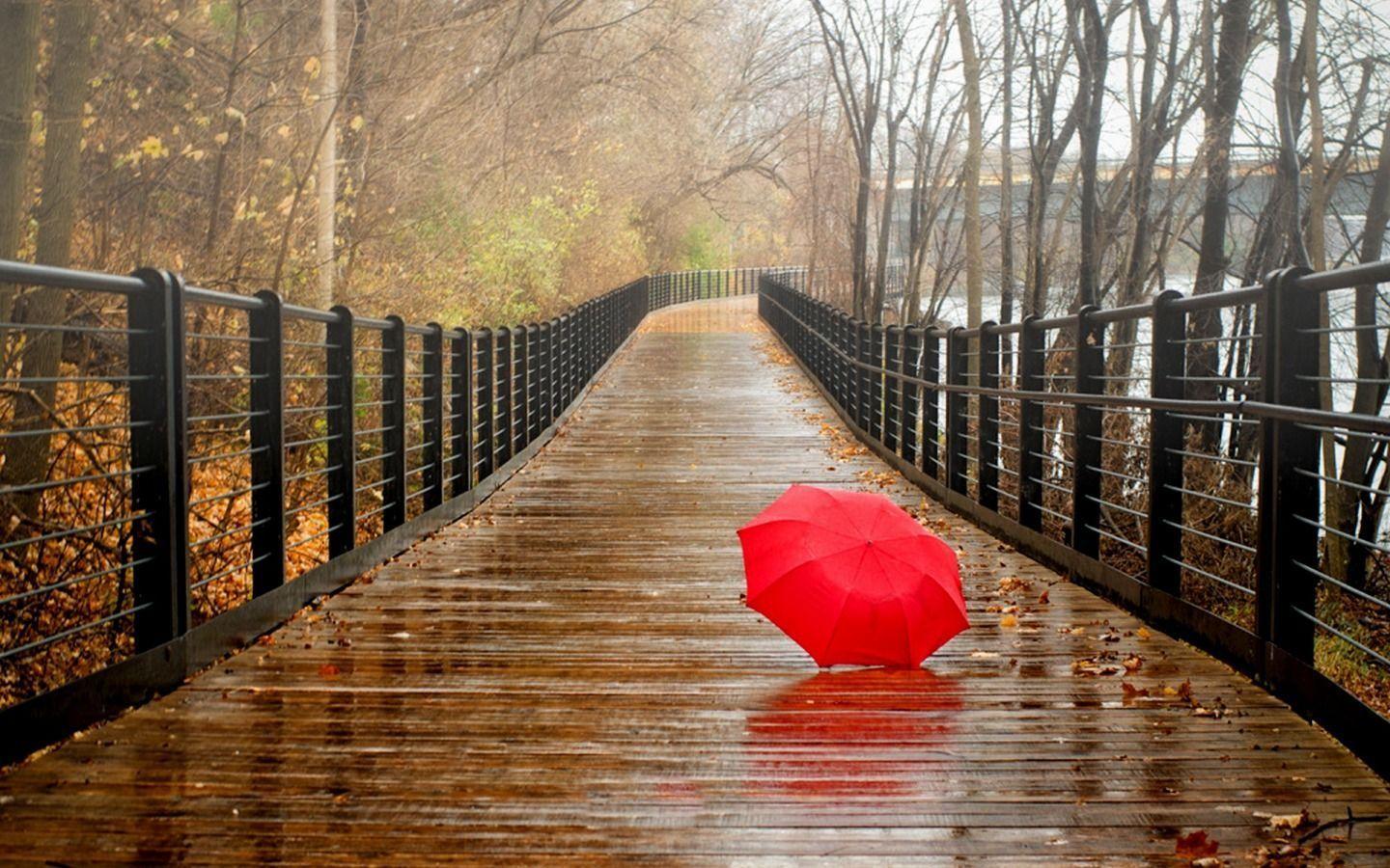 Happy Rainy Day Wallpaper Wallpaper Idol