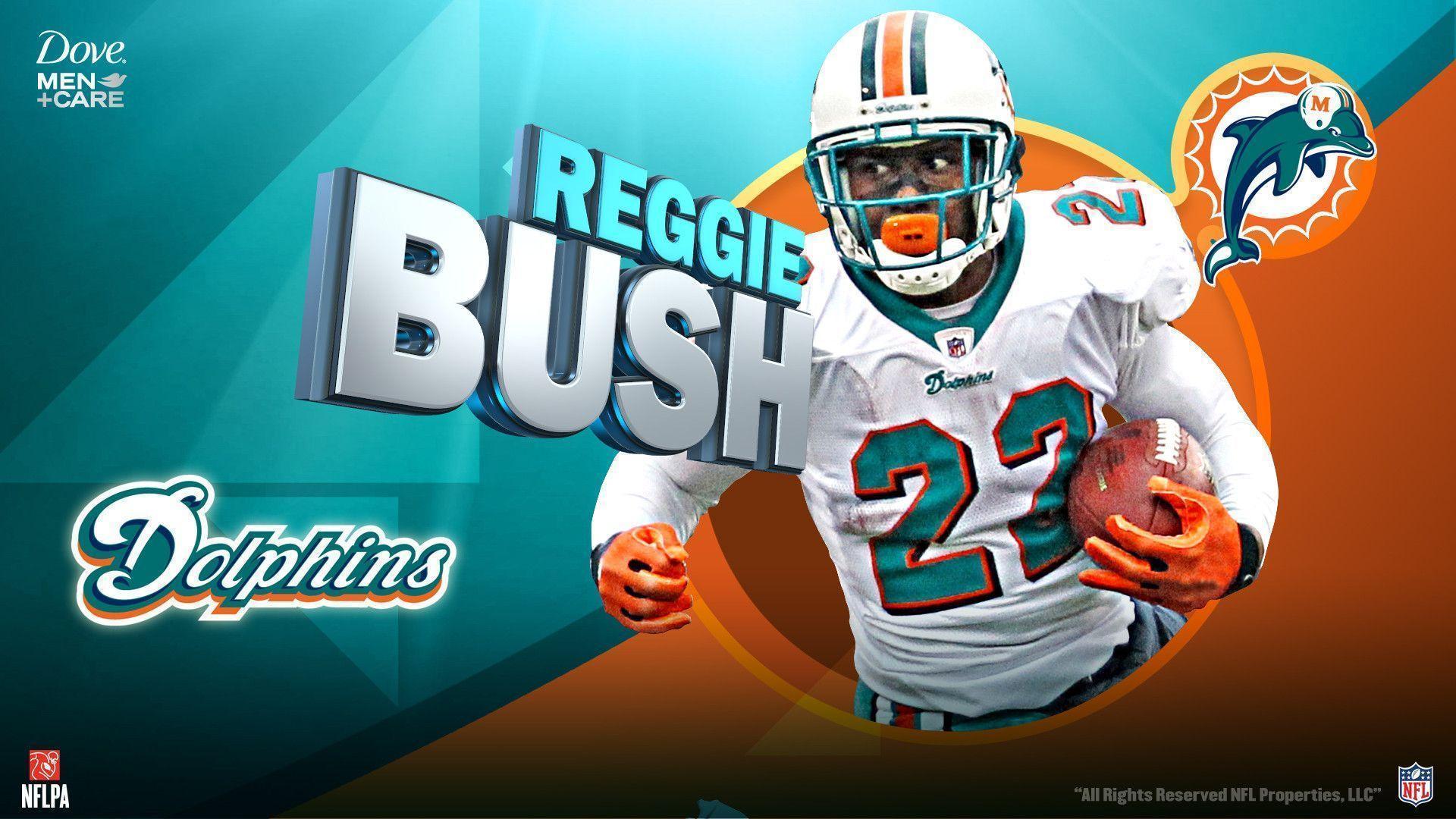 Miami Dolphins wallpaper. Miami Dolphins wallpaper