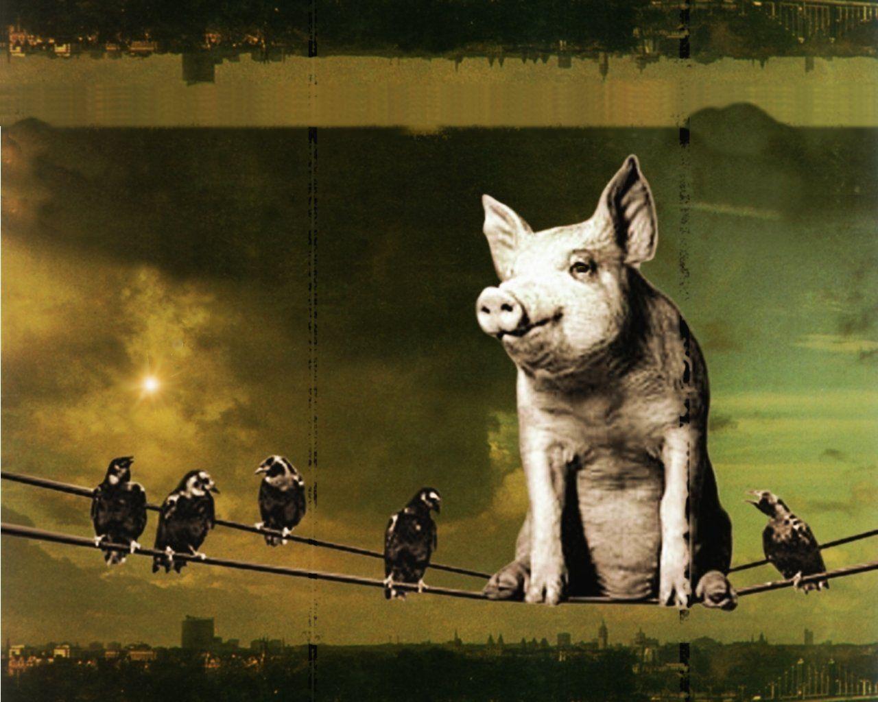 Pink Floyd [46 Wallpaper alucinantes]!