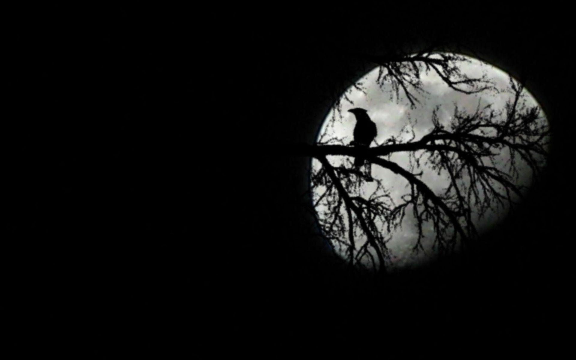 Raven Black And Moon Wallpaper Picture Wallpaper. High