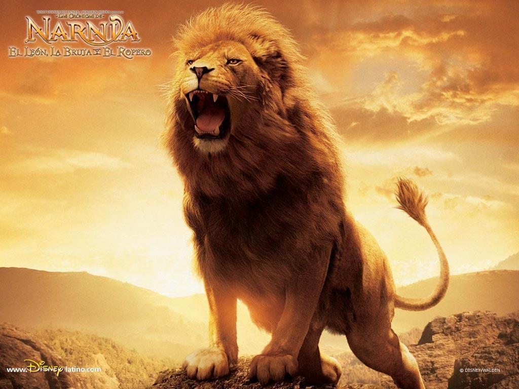 Aslan Lion 2 The Chronicles Of Narnia Wallpaper.jpeg
