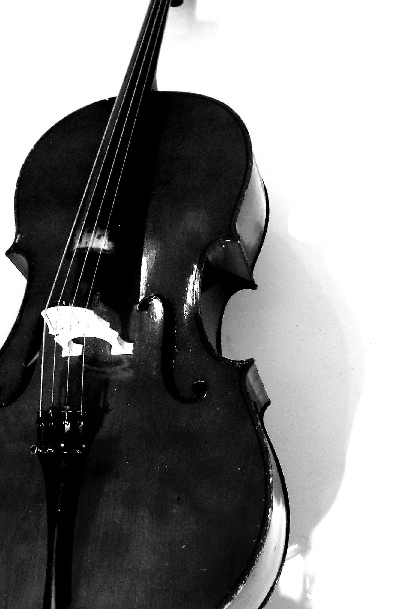 image For > Black And White Cello Wallpaper