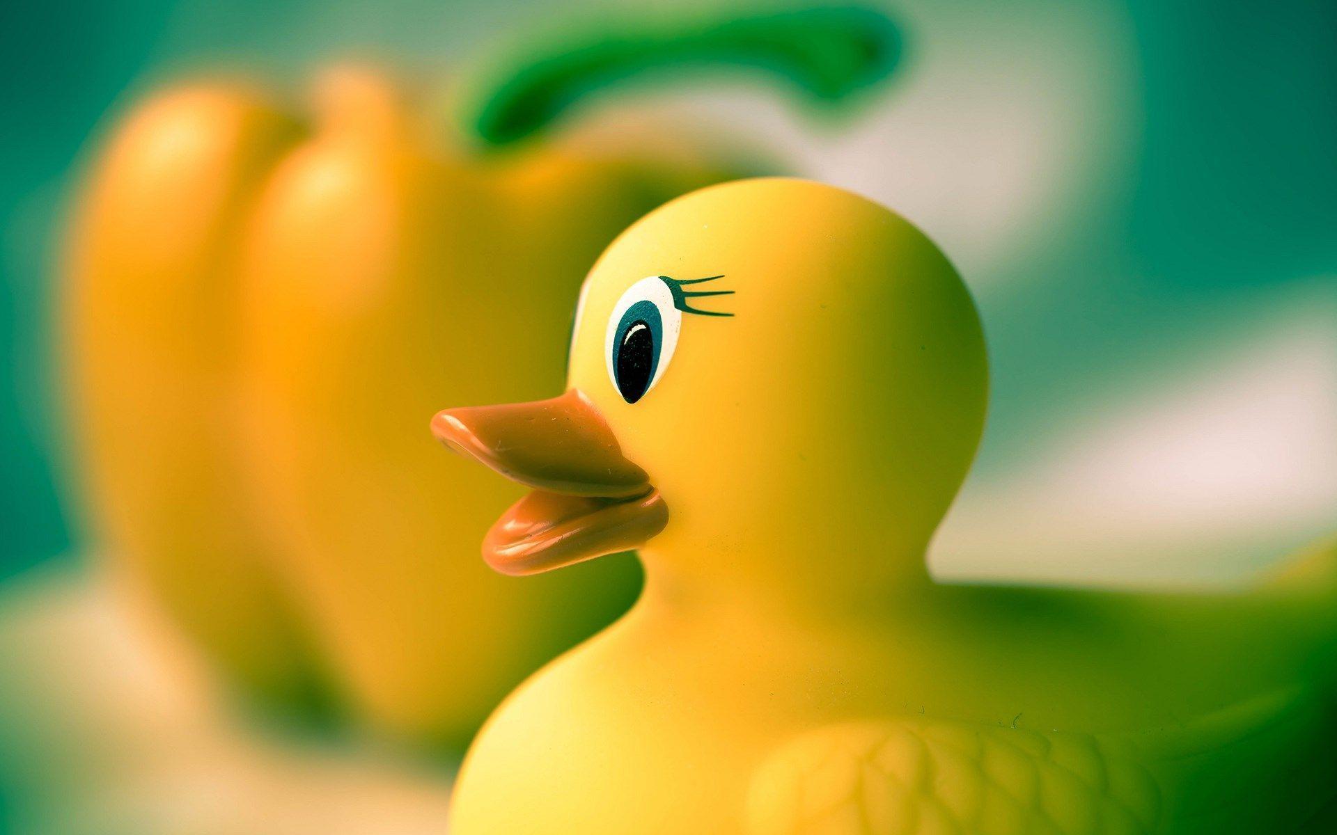 Wallpaper For > Colorful Rubber Duck Wallpaper