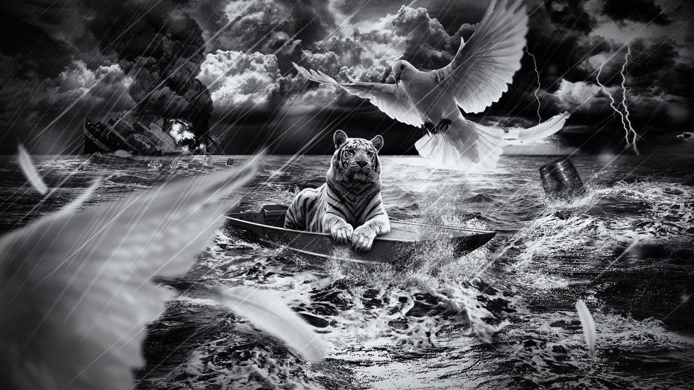 Tiger in Boat desktop PC and Mac wallpaper