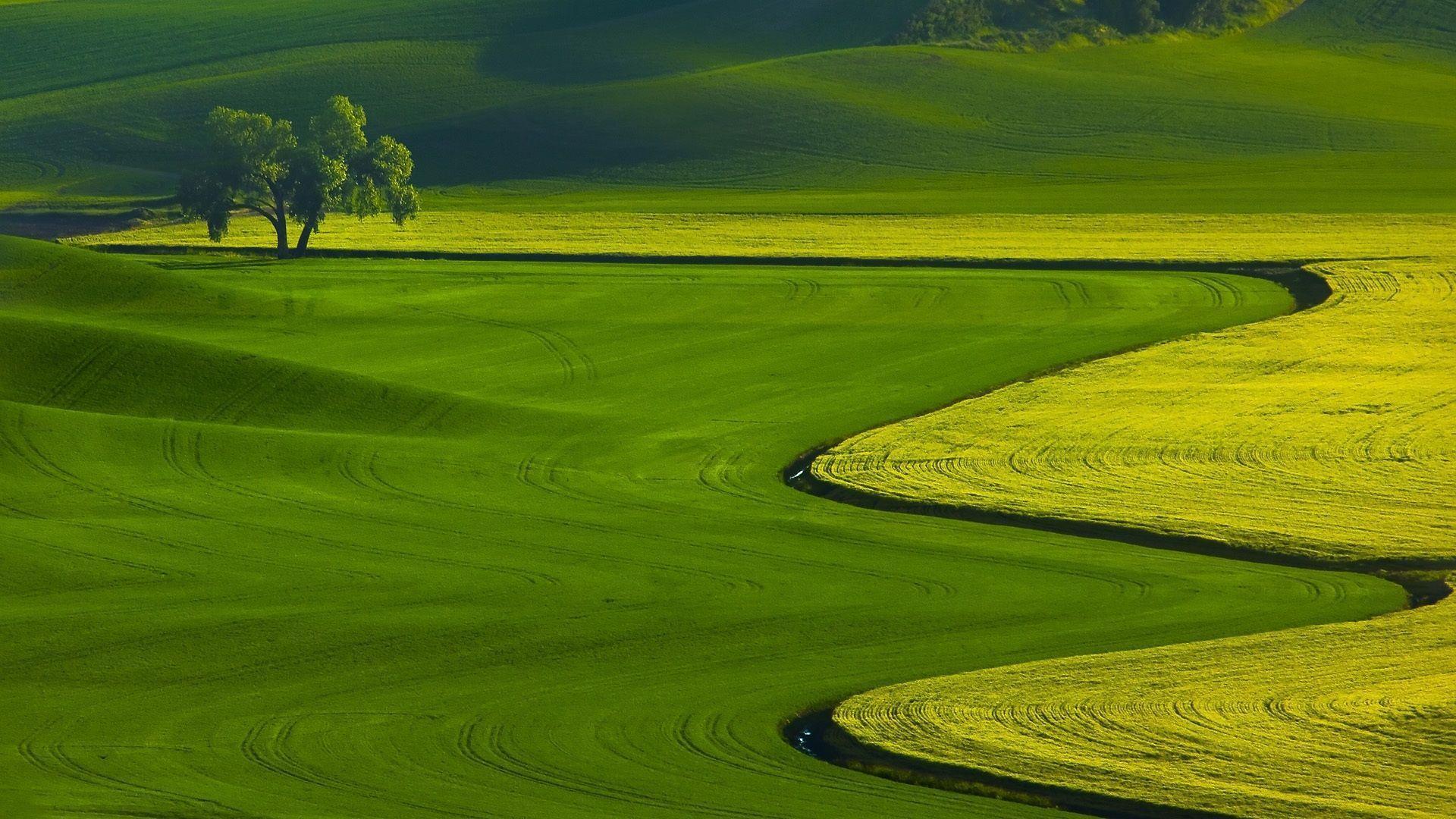 Landscape Green