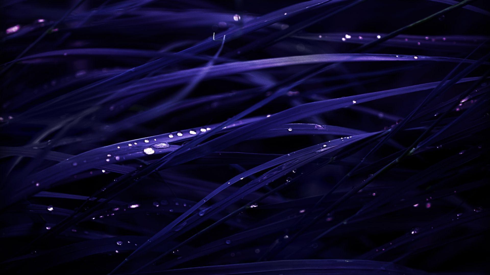 Stunning Wallpaper 28256 1920x1080 px HDWallSource