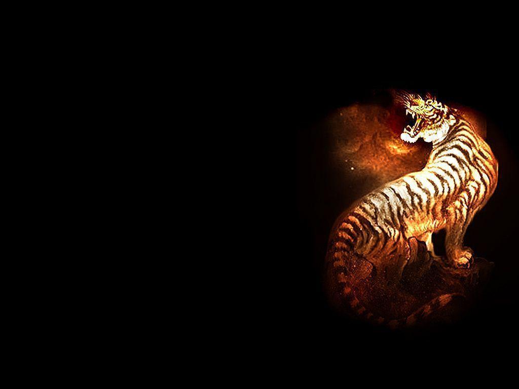 Tiger ♥